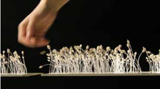 Sensory Experience Design 2018