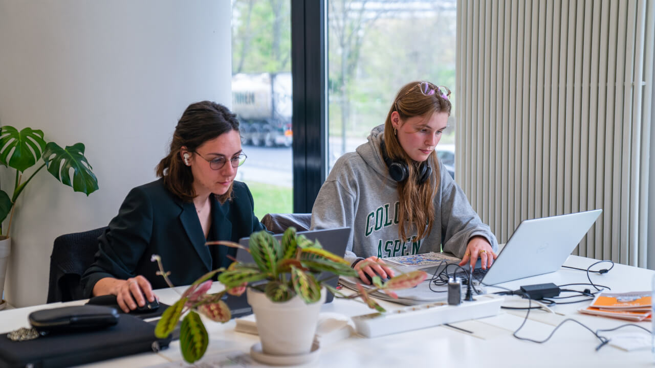 Differences between private and public universities in Germany